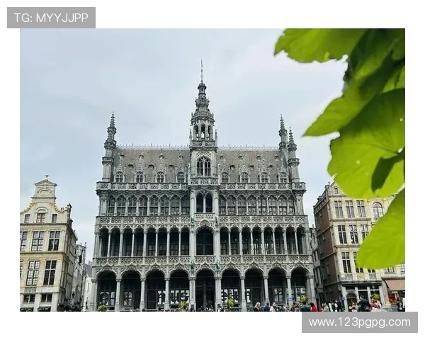 比利时风情直播：探秘欧洲心脏的实时魅力